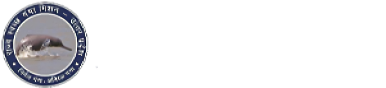 SMCG-UP